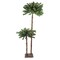 Northlight Lighted Tropical Artificial Palm Tree - 6' - Clear